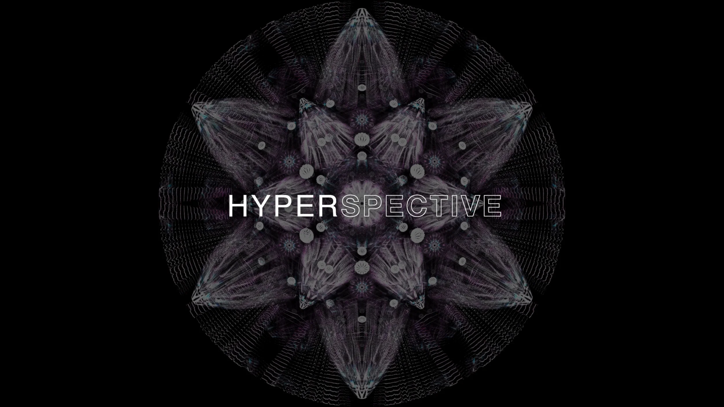 HYPERSPECTIVE LA