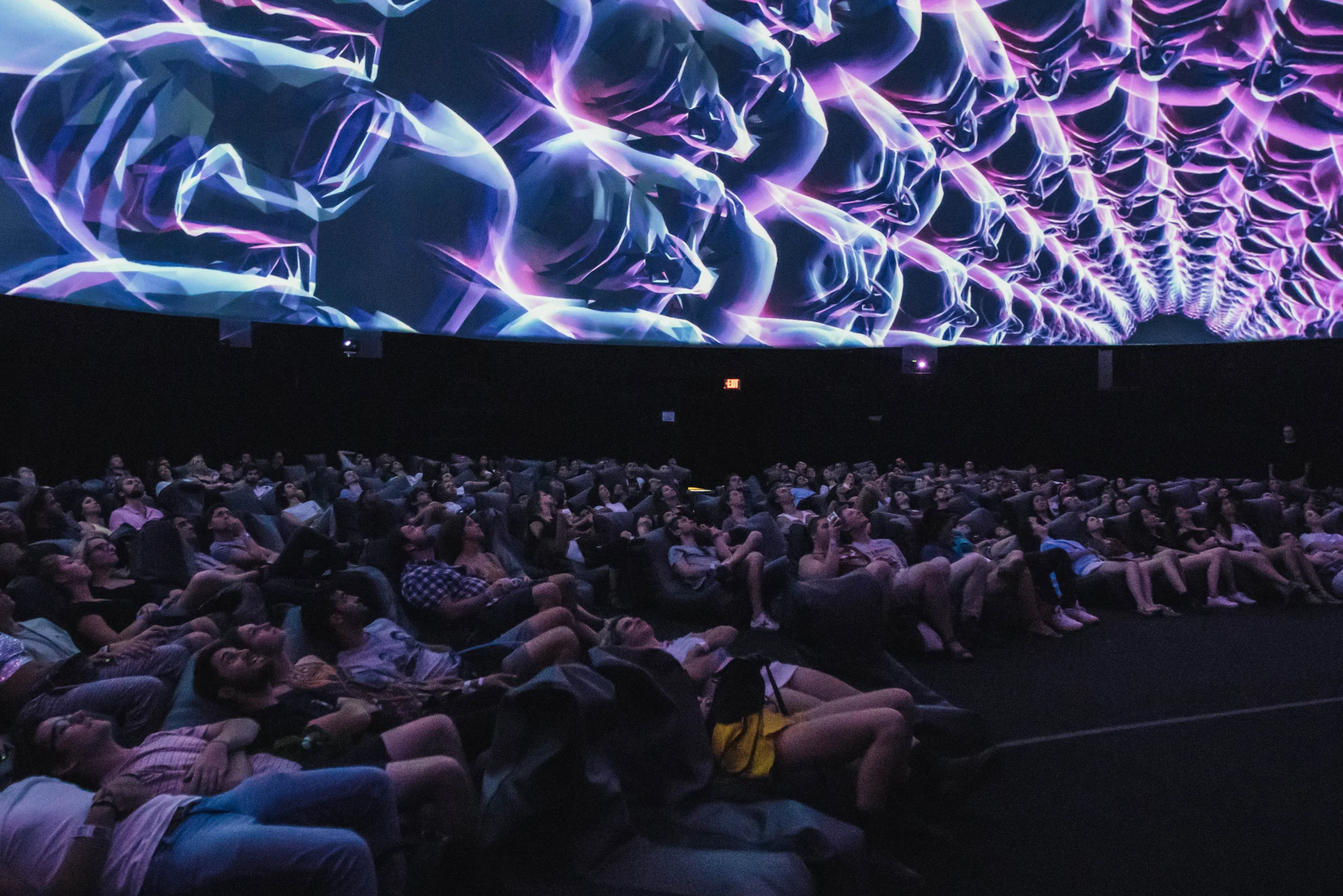 An audience beneath the vivid projections of The Ark